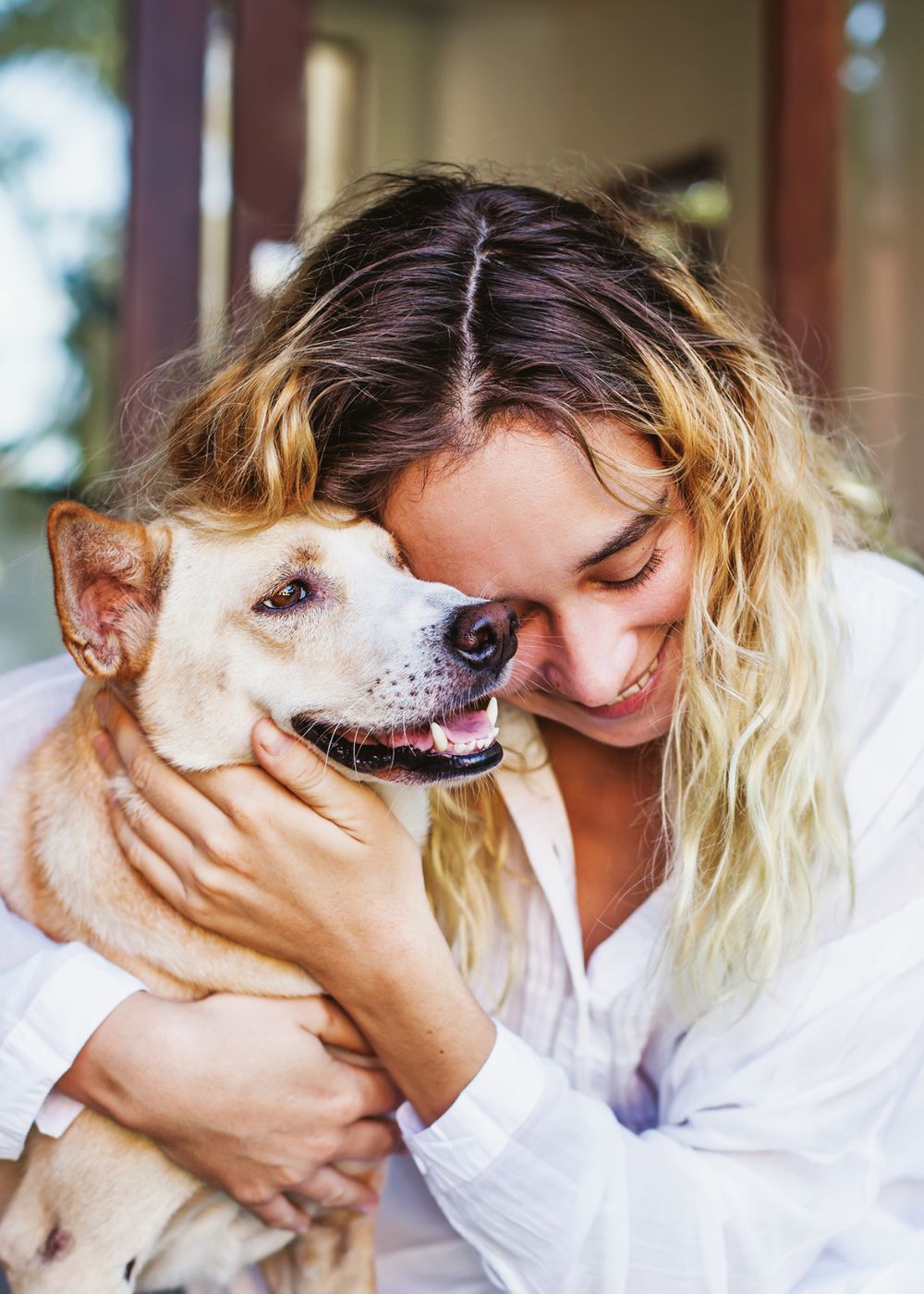 Pet Care